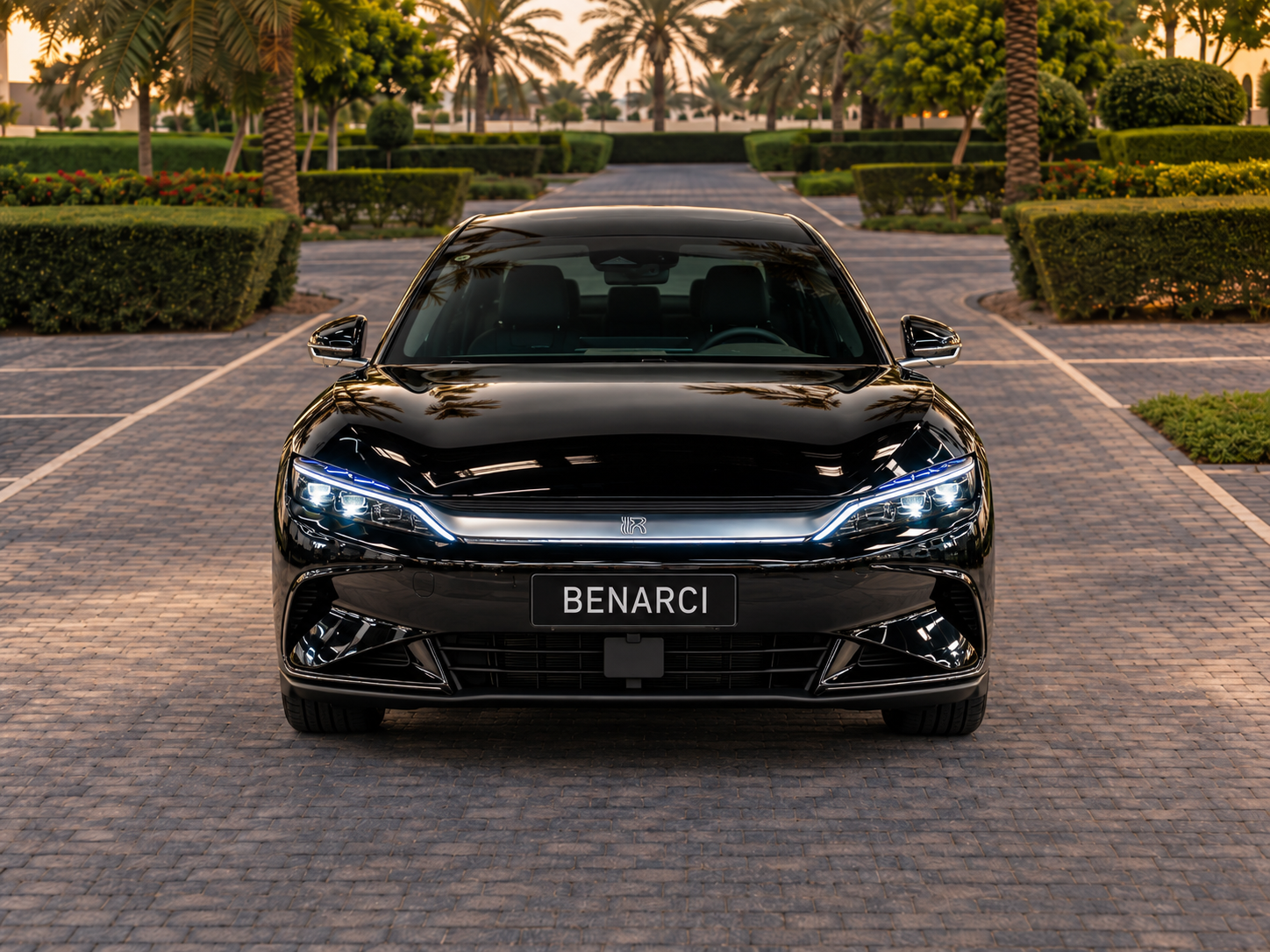 BYD DM-i — miniature 4