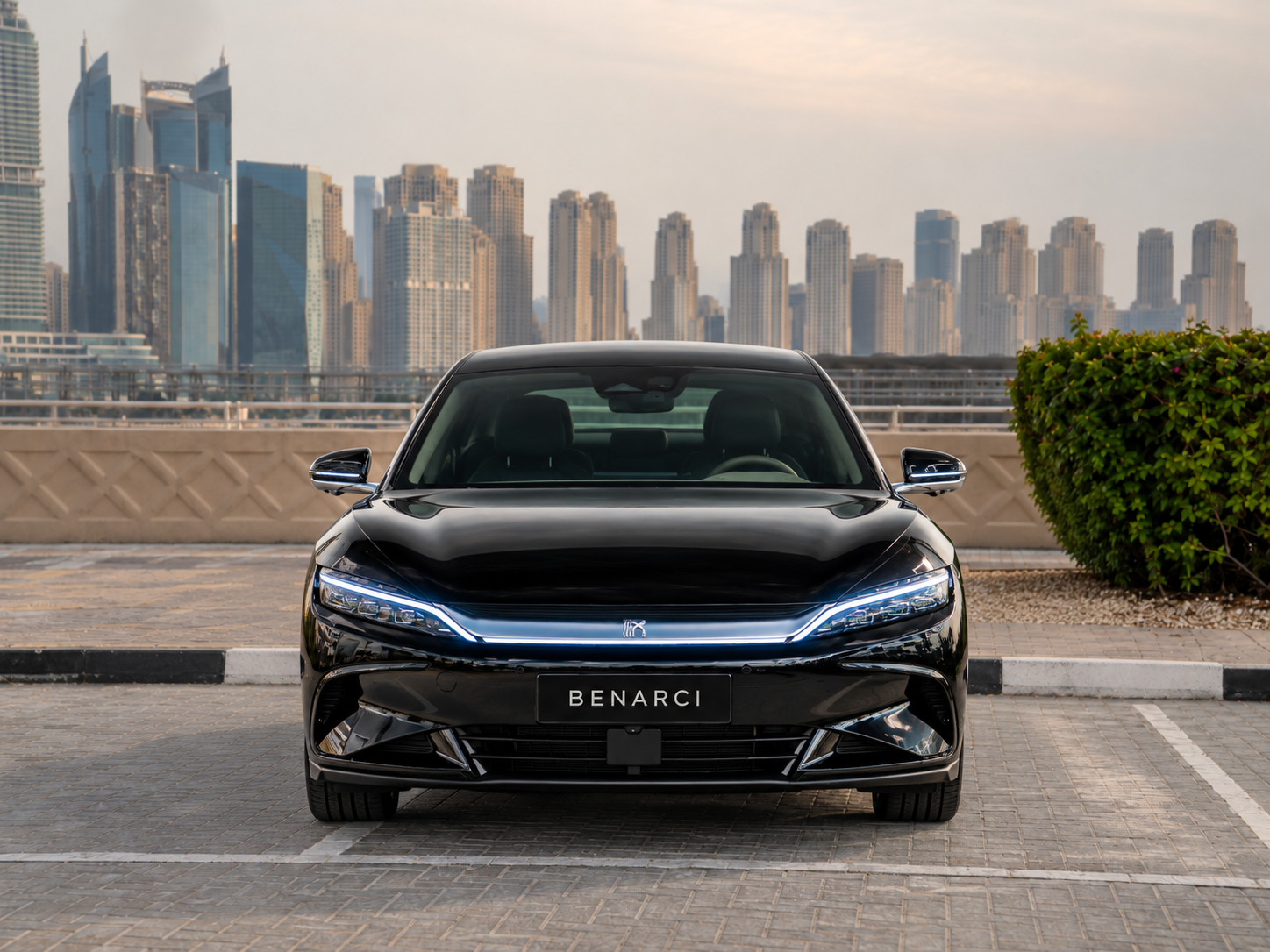 BYD DM-i — miniature 4